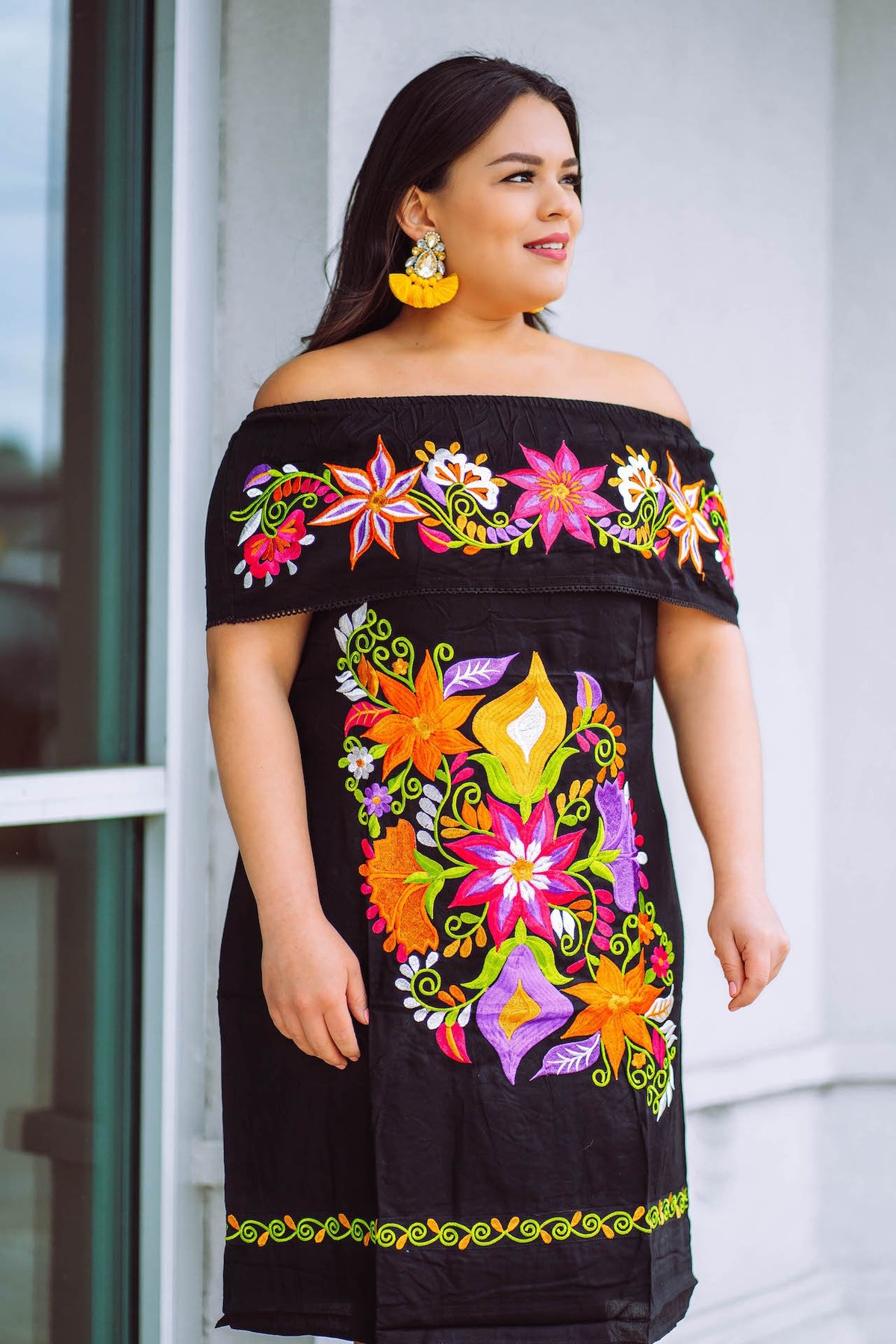 Caminos De Michoacán Embroidered Dress